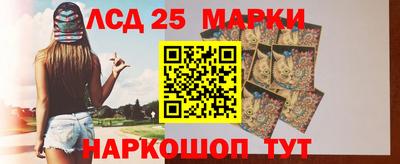 стаф Донецк
