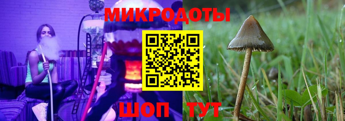 Людиново  Псилоцибиновые грибы Psilocybe  закладка  Вход с VPN 