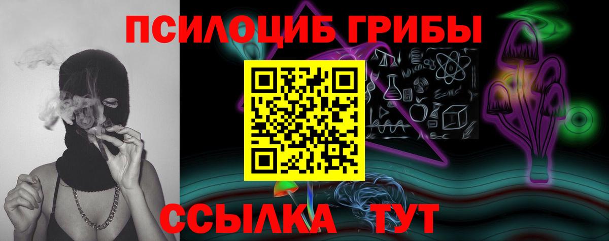 Псилоцибиновые грибы мицелий Людиново